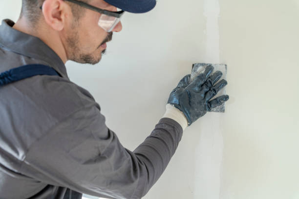 Best Emergency Mold Remediation  in South Bloomfield, OH