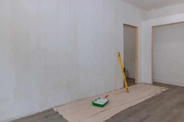 Best Emergency Mold Remediation  in South Bloomfield, OH