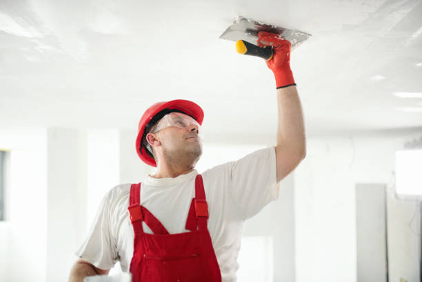 Best Attic Mold Removal  in South Bloomfield, OH
