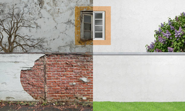 Best Post-Construction Mold Inspection  in South Bloomfield, OH
