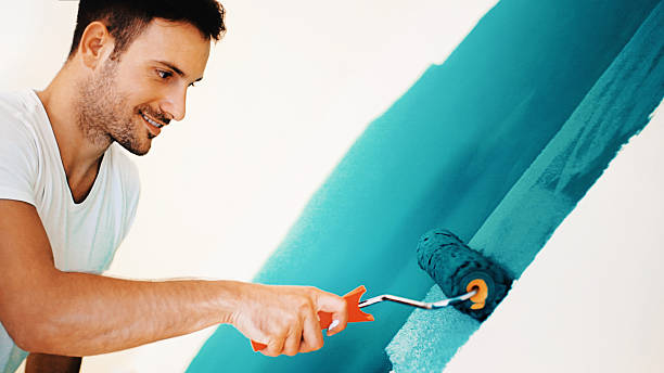 Best Black Mold Removal  in South Bloomfield, OH